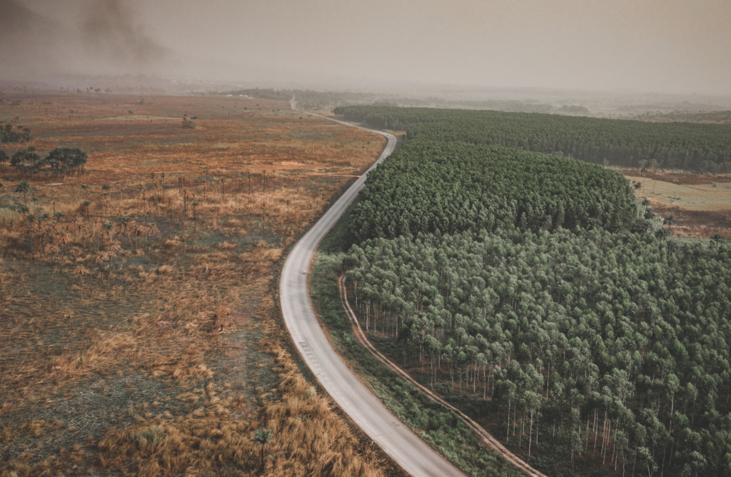 EUDR - antideforestazione: ufficiale il secondo rinvio di 12 mesi e semplificazioni per le PMI